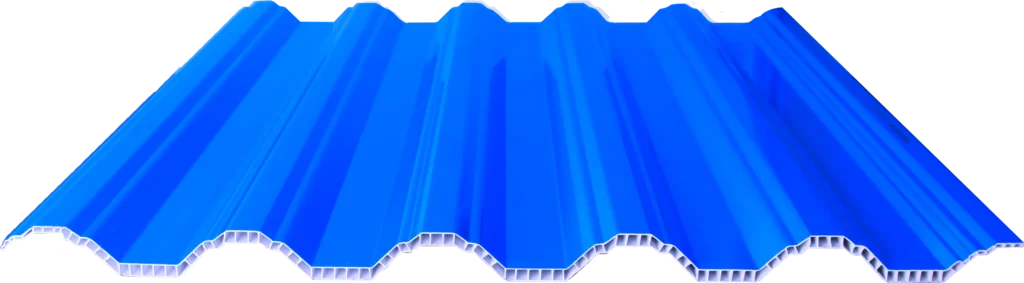 AnyConv.com__BIRU FULL 2